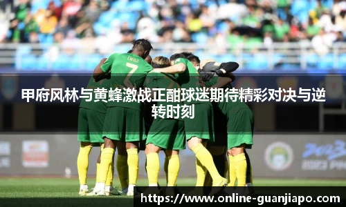 甲府风林与黄蜂激战正酣球迷期待精彩对决与逆转时刻